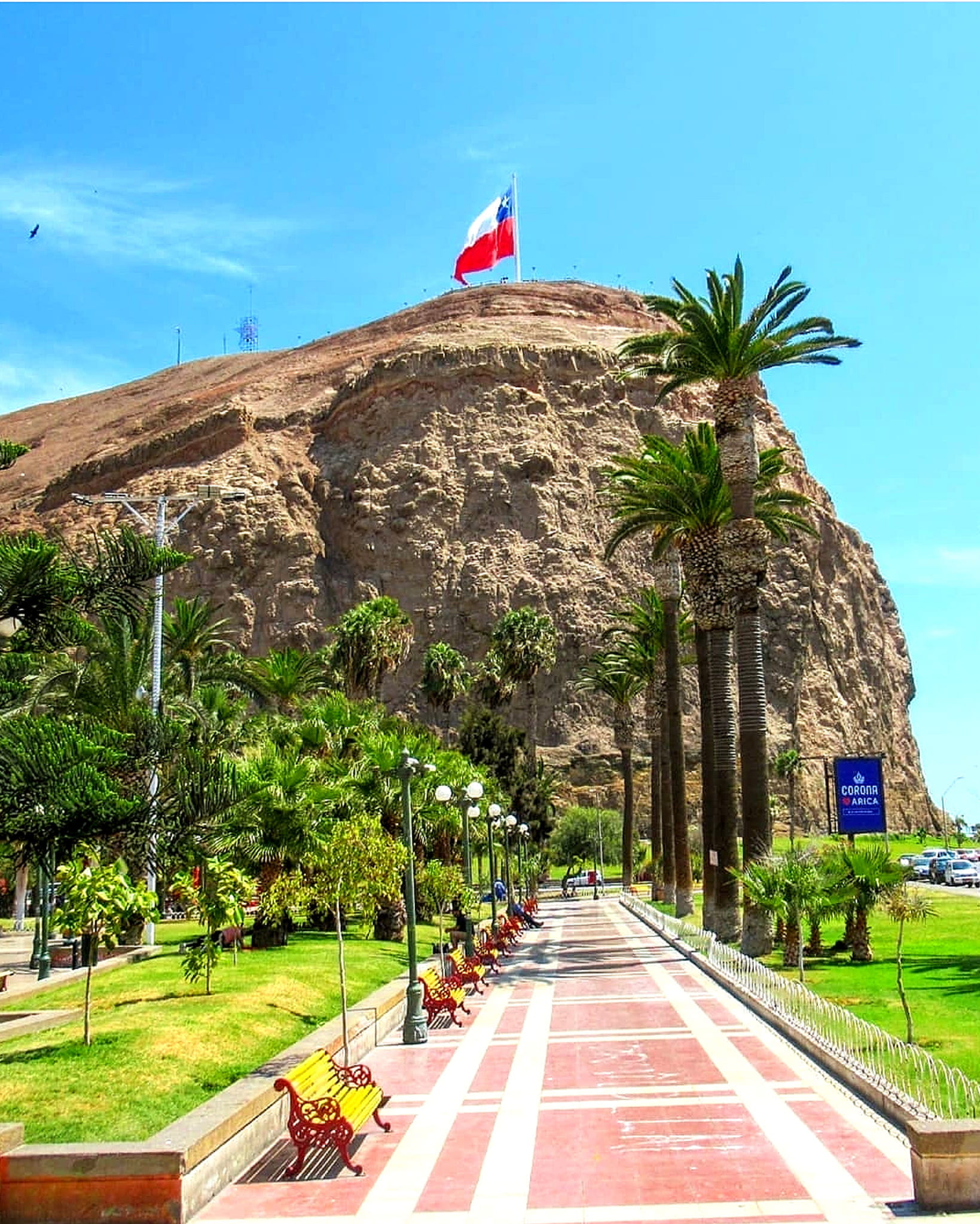Abogados laborales en Arica - Candia, Cordero & Pacheco