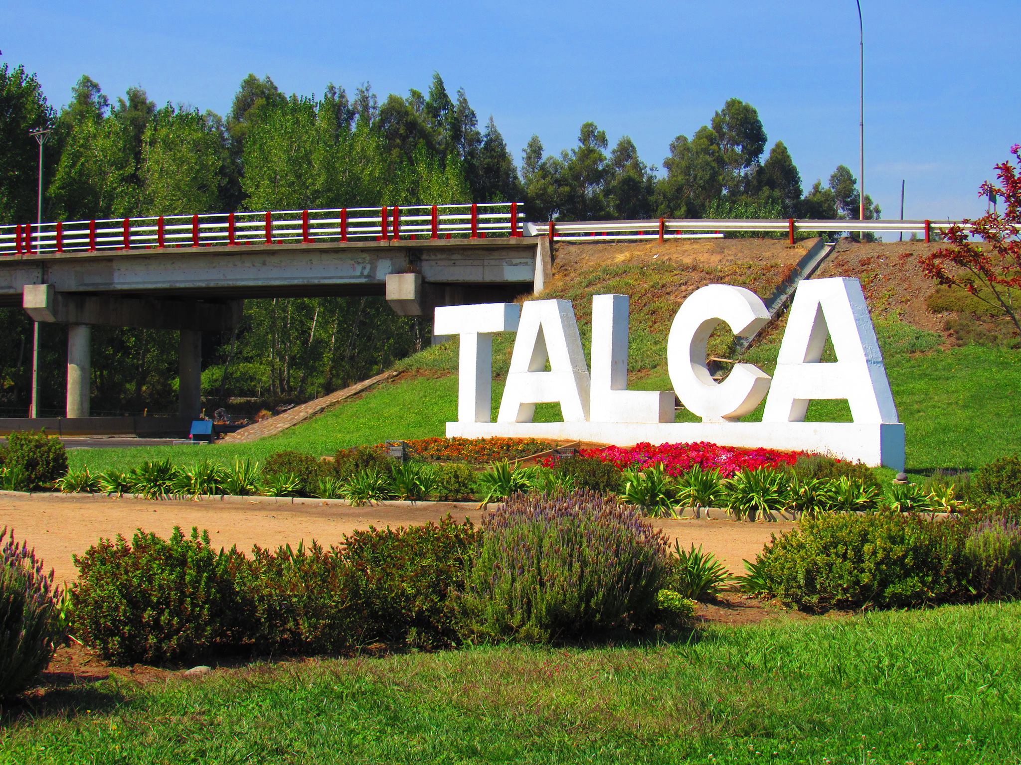 Abogados laborales en Talca - Candia, Cordero & Pacheco